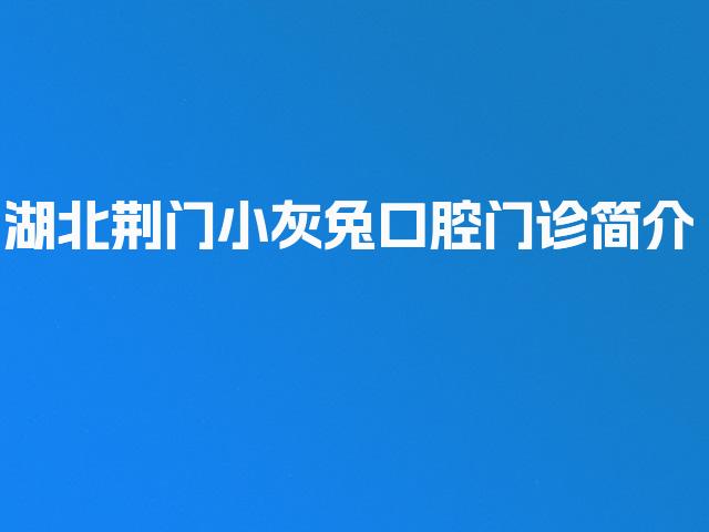 湖北荆门小灰兔口腔门诊简介