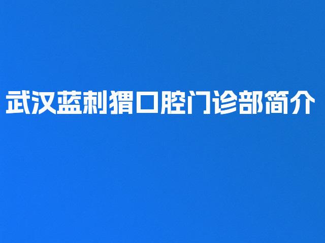 武汉蓝刺猬口腔门诊部简介