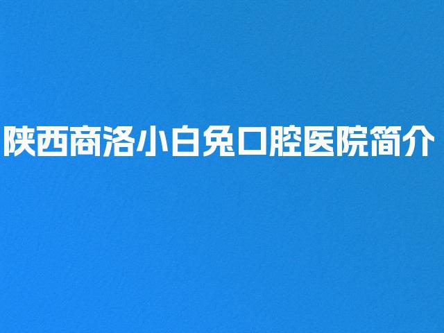 陕西商洛小白兔口腔医院简介