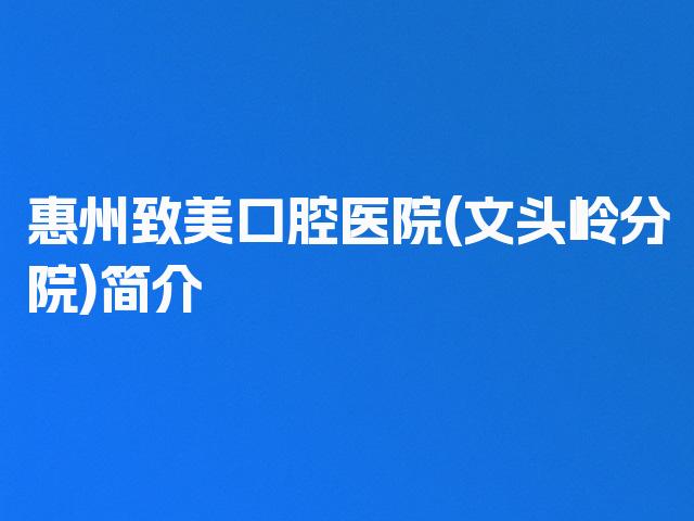 惠州致美口腔医院(文头岭分院)简介