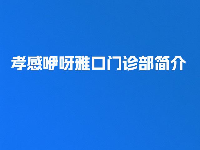 孝感咿呀雅口门诊部简介