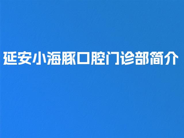 延安小海豚口腔门诊部简介